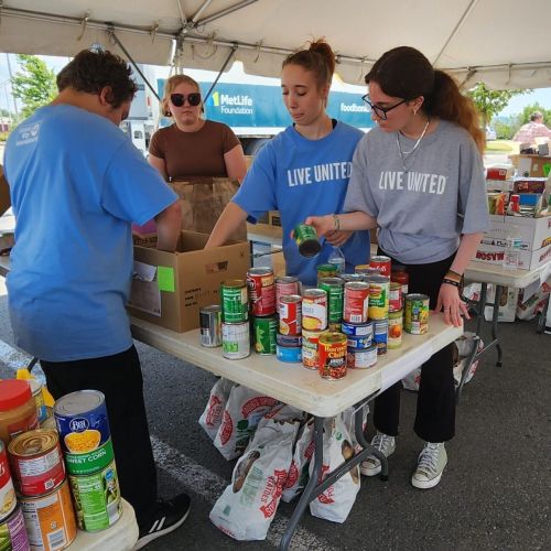 People packing box with various canned food items