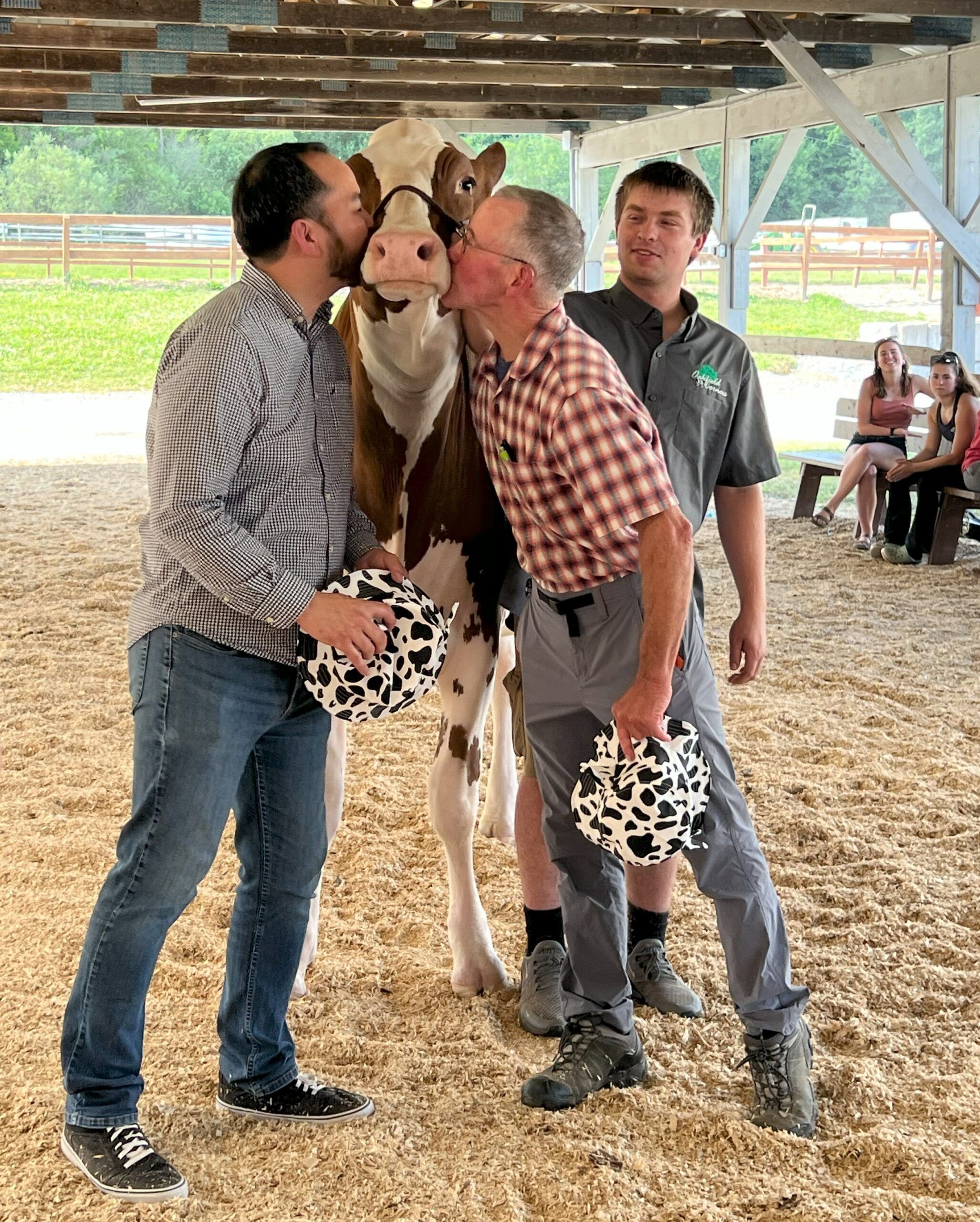 Jeremiah Papineau and Peter Ostrum each kiss a brown and white cow on the cheeks with cow owner Samuel VanBuren in the background
