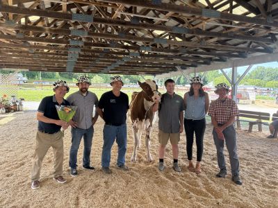 Group of people sitting around a table talking with one another